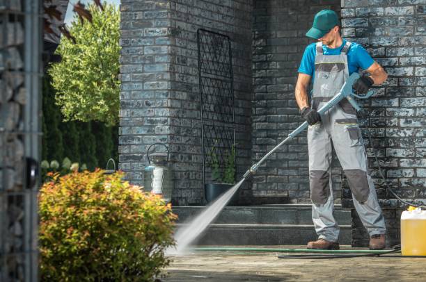 Best Solar Panel Cleaning  in Luna Pier, MI