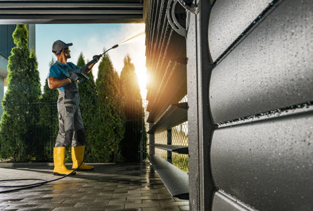 Best Sign and Awning Cleaning  in Luna Pier, MI