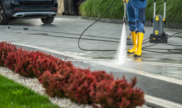 Animal Enclosure Cleaning in Luna Pier, MI