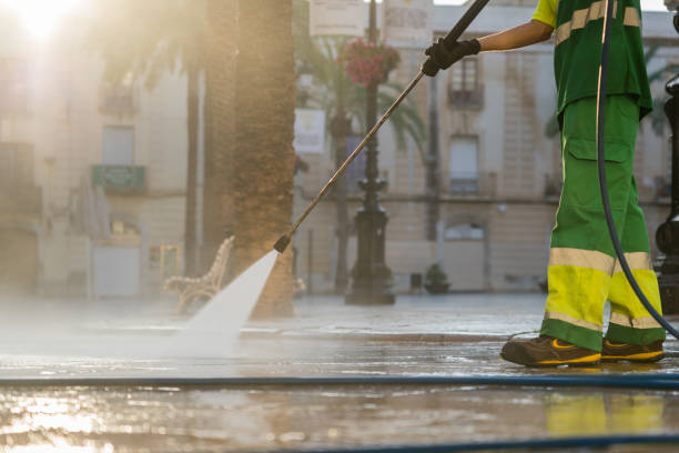 Best Sidewalk and Walkway Cleaning  in Luna Pier, MI